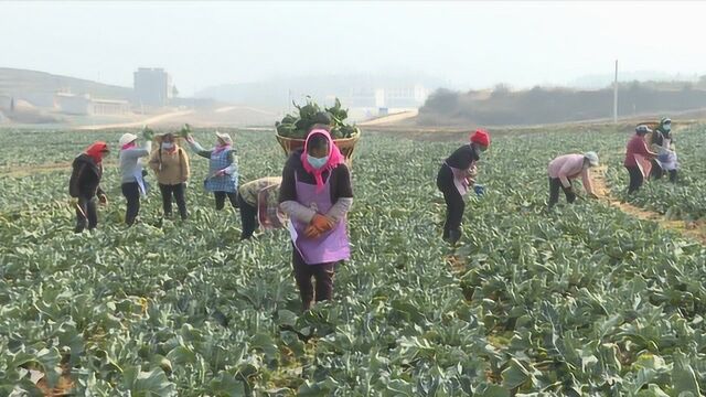 落实三级挂牌督战 威宁决战脱贫攻坚