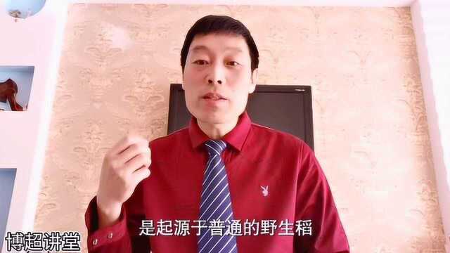 水稻的发源地究竟是哪儿?很多人想不到