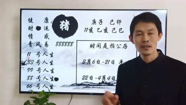 最好的健康饮食“食疗”,生肖猪在3月爱吃什么健康食品,那就肯定对