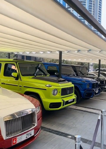 迪拜mall门前的停车位每小时400人民币,停的基本都是豪车