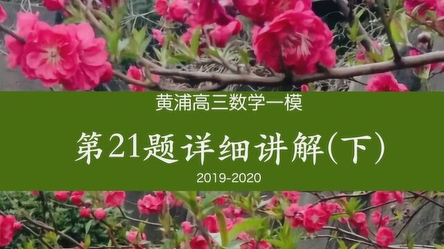 上海黄浦高三数学一模(五)第21题详细讲解(下)20192020