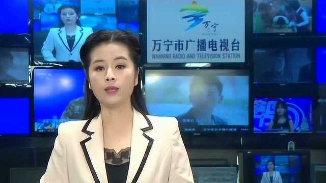 和乐无籽西瓜丰收上市 盼广大收购商及社会各界人士积极购买