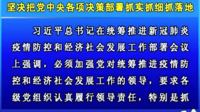 摘要播发人民日报评论员文章 《坚决把党中央各项决策部署抓实抓细抓落地》