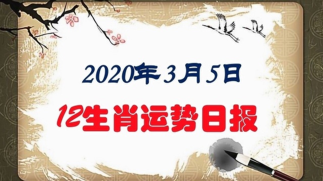 3月5日12生肖运势,包含财运、爱情、婚姻、事业