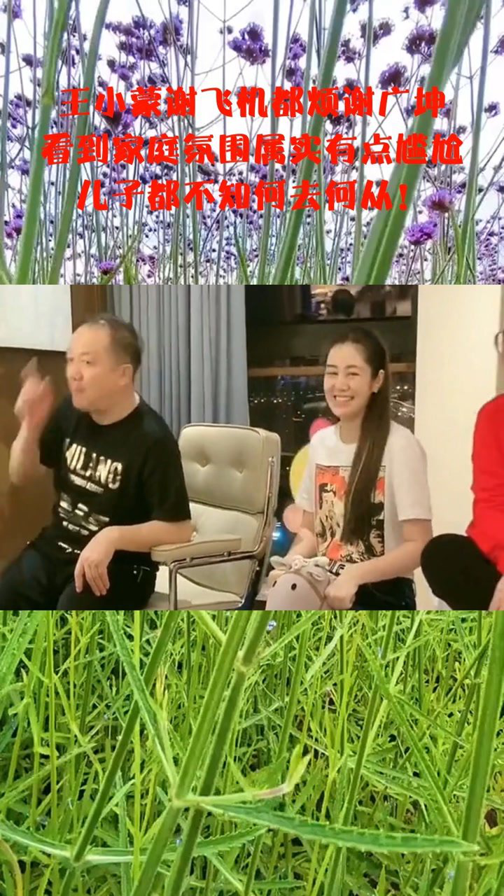 王小蒙谢飞机都烦谢广坤,看到家庭氛围属实有点尴尬,儿子都不知何去何