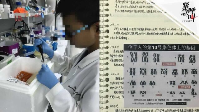 小学生研究基因敲除获奖引质疑 专家:他作品是他母亲研究方向的分支