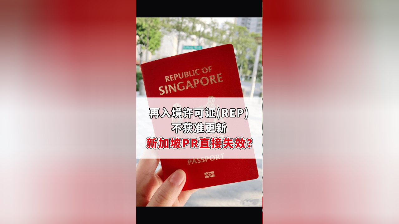 再入境许可证（REP）不获准更新，新加坡PR直接失效？_楹进集团
