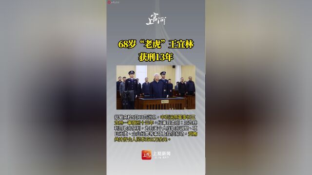 新闻老虎(新闻老虎出逃)