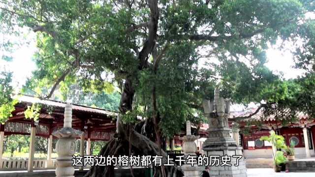 实拍福建千年古刹泉州开元寺,没想到塔里面藏了个千年秘密?旅游必逛景点