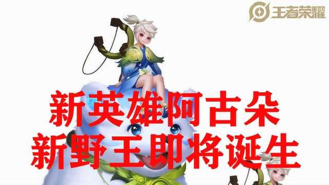 30秒清空野区,新野王预定,阿古朵无伤双野连刷教学,体验服