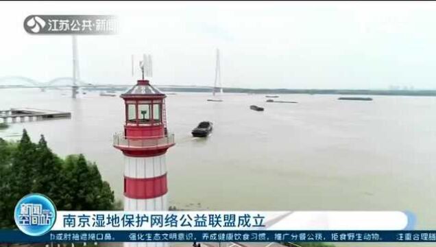 南京湿地保护网络公益联盟成立:丰富载体形式 带动全民保护长江