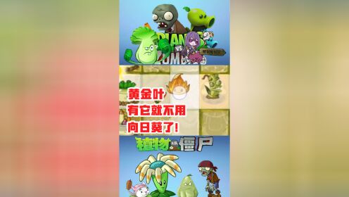 植物大战僵尸:黄金叶,有它在向日葵都要失业了!