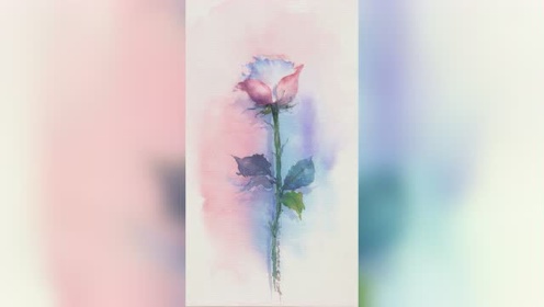 水彩花卉丨白玫瑰