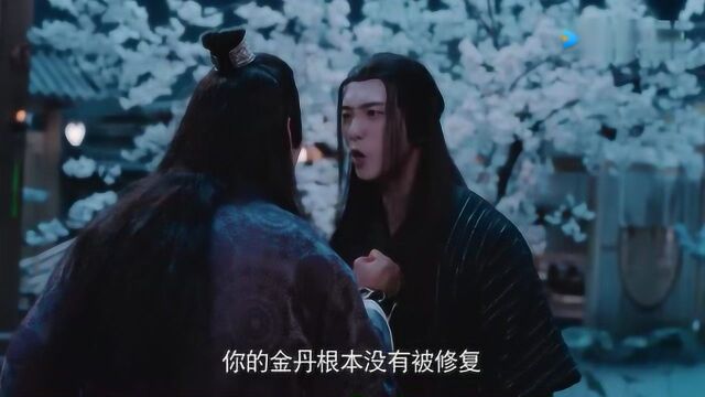 【陈情令】金丹的真相