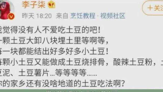 因为红薯搜索,网友质疑她的假想法