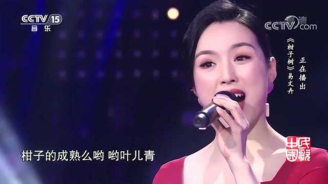 易文卉演唱《柑子树》,太好听了,恍若天籁之音!