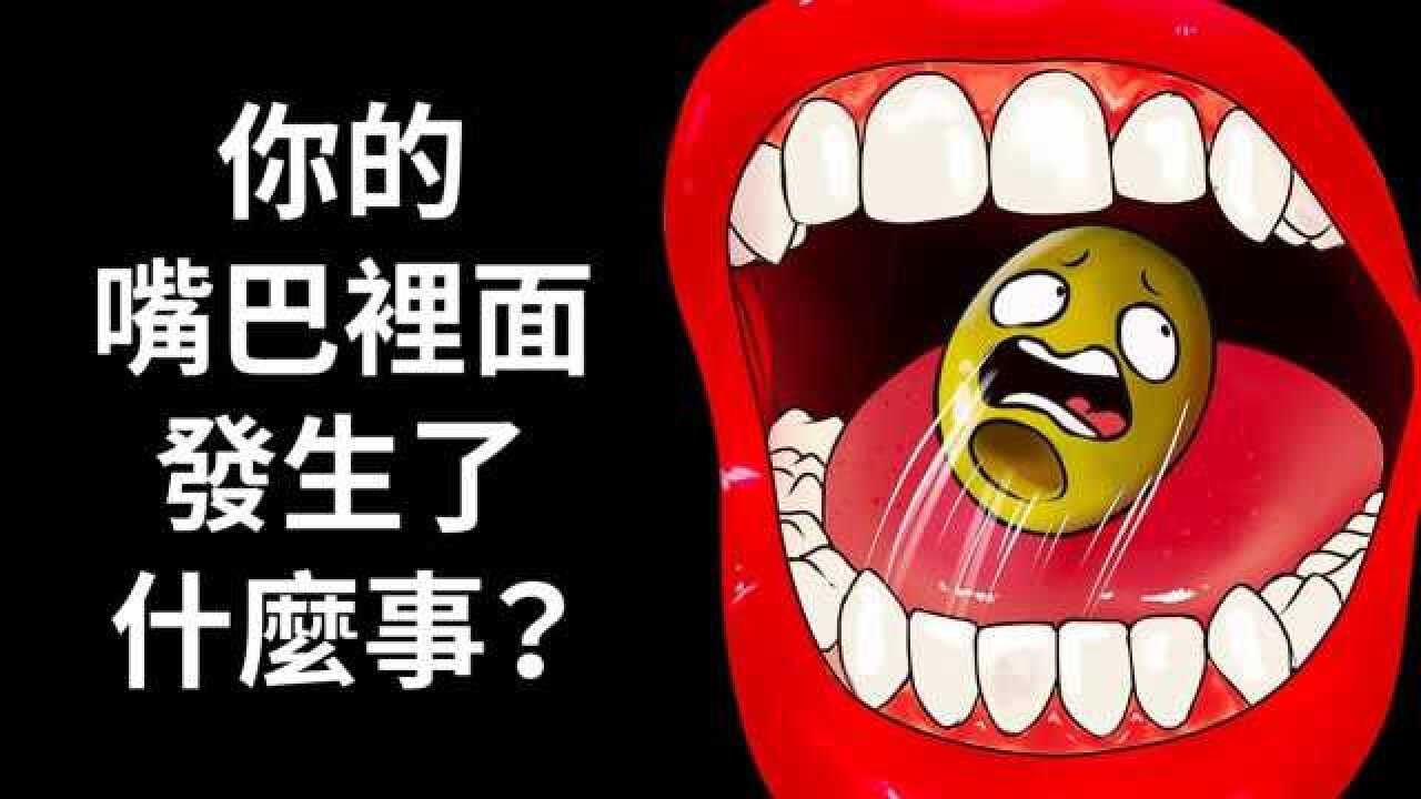 味蕾是什么?我们的味觉又是怎么发挥作用的?让我们一起来了解吧!