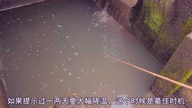 钓鱼高手分享三个冬钓实用技巧,每一个都能提高鱼获