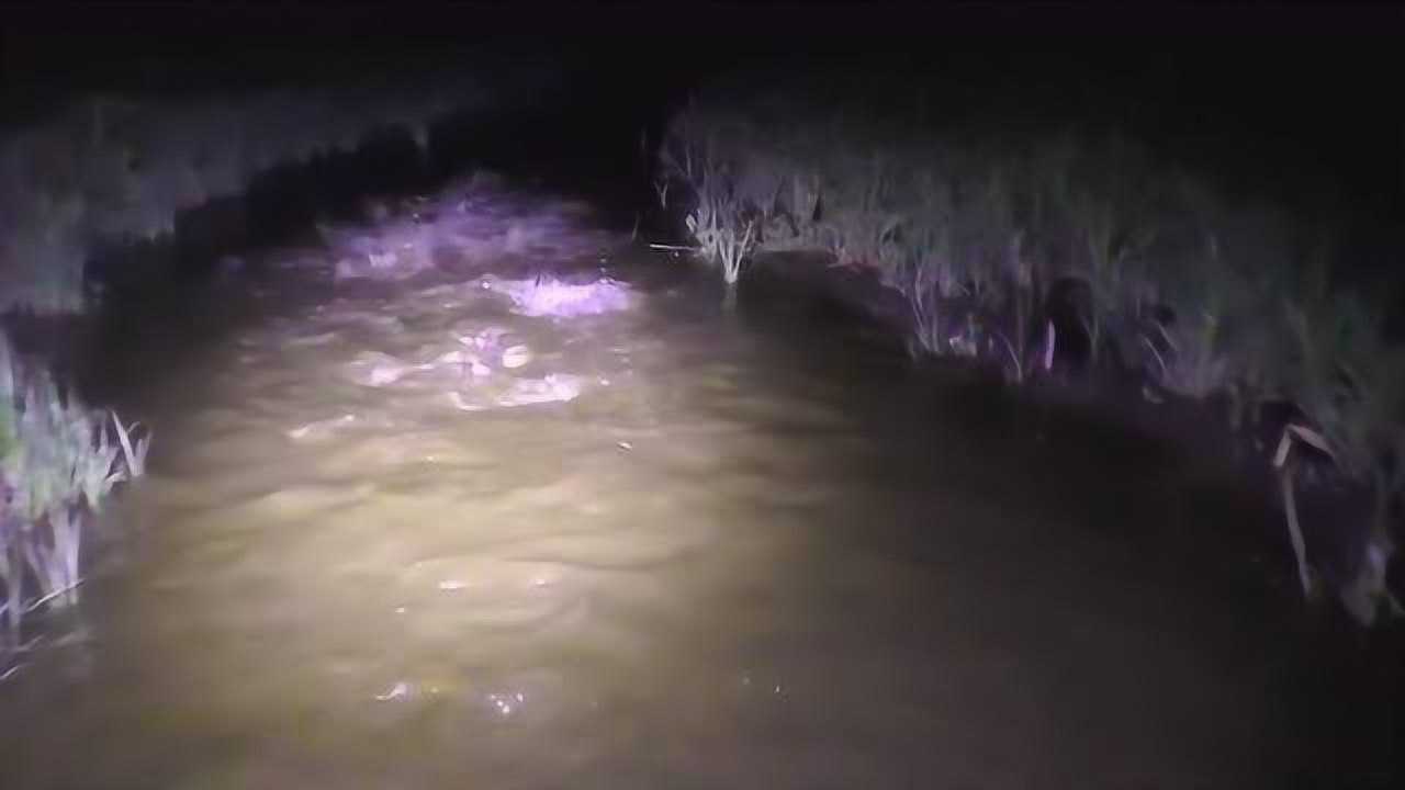 晚上河边走一走竟然遇上这样一番景象