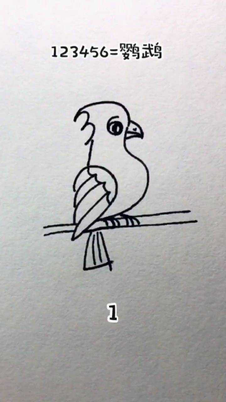 用数字123456画鹦鹉你一定能够学会