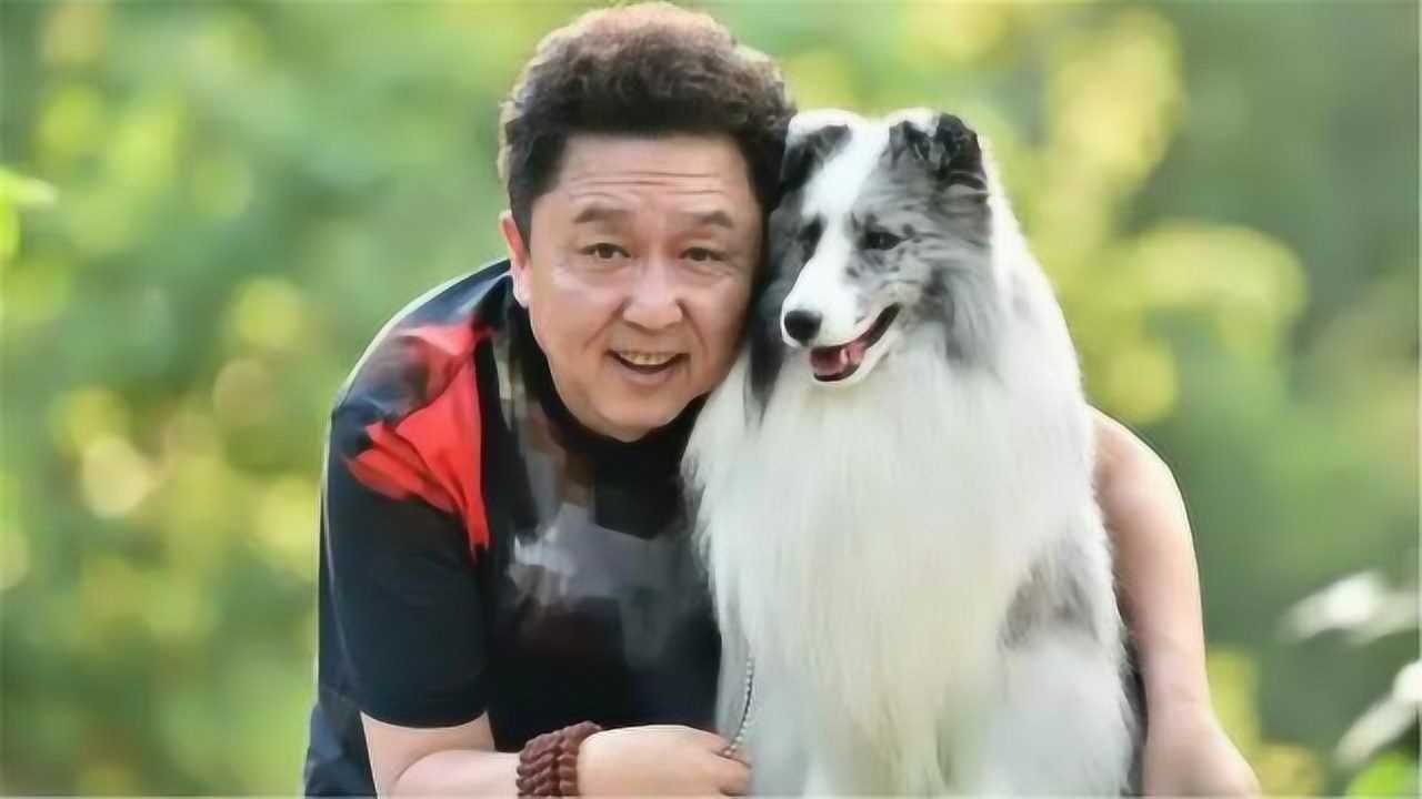 于谦养的宠物大盘点:几乎是养了个动物园,不愧是京城顽主!