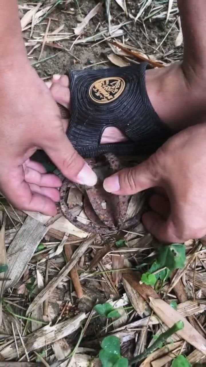 老一辈的捕兽夹小伙能熟练使用还真是不容易