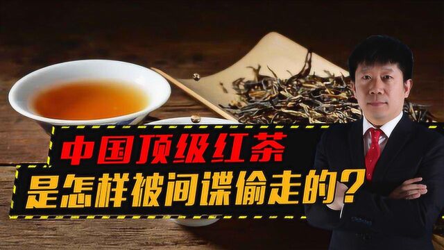 从武夷山到大吉岭,中国顶级红茶,是怎样被印度偷走的?