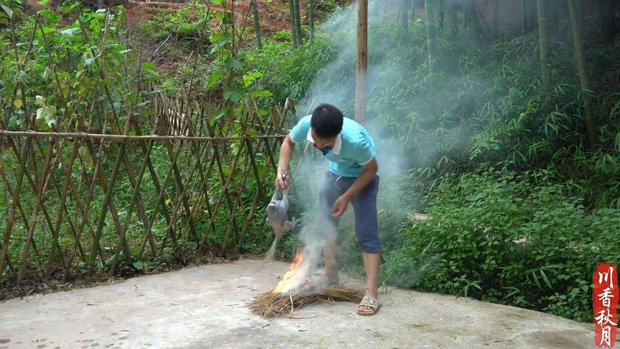 即使生活一地鸡毛我们也要把它扎成一个漂亮的鸡毛掸子2
