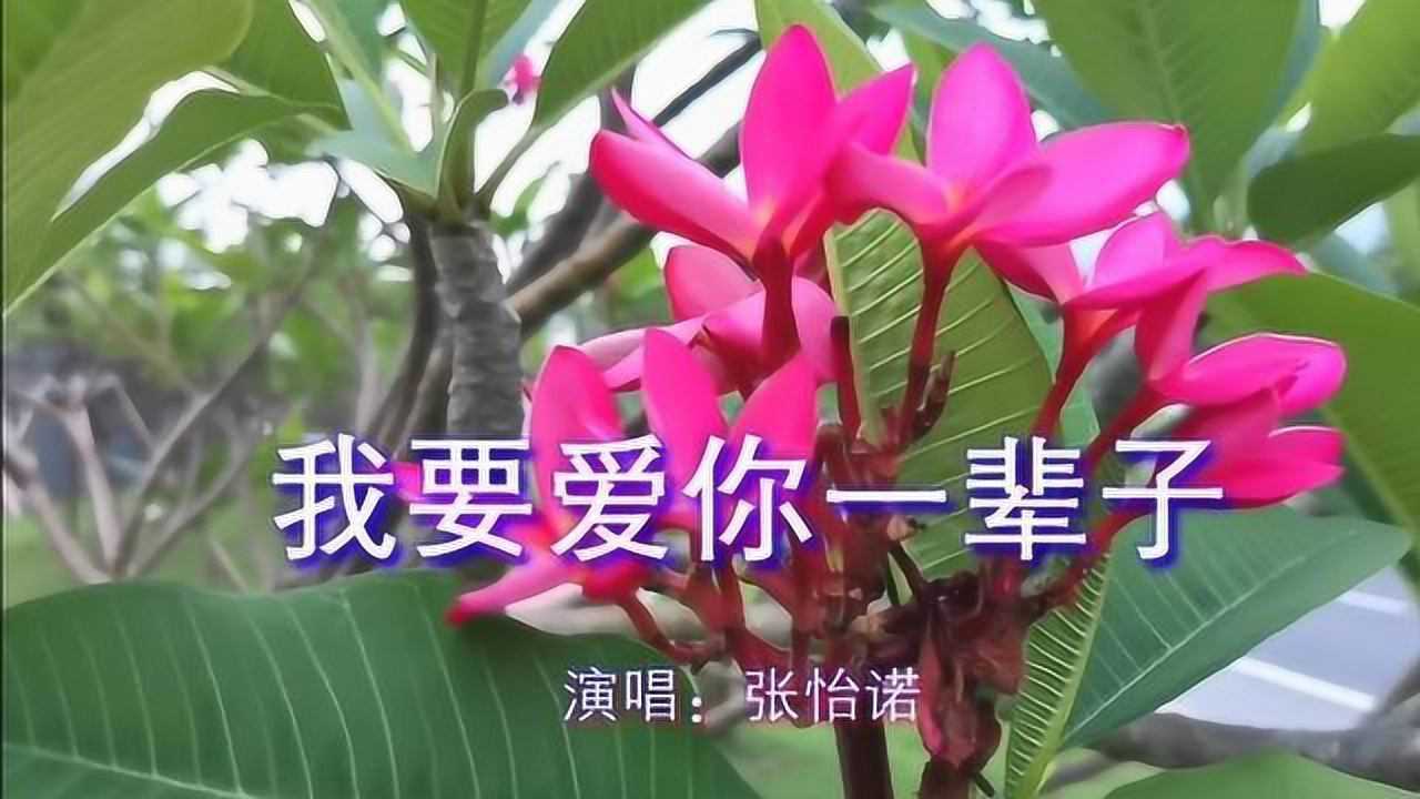 张怡诺一首《我要爱你一辈子》甜蜜情歌,好听极了!
