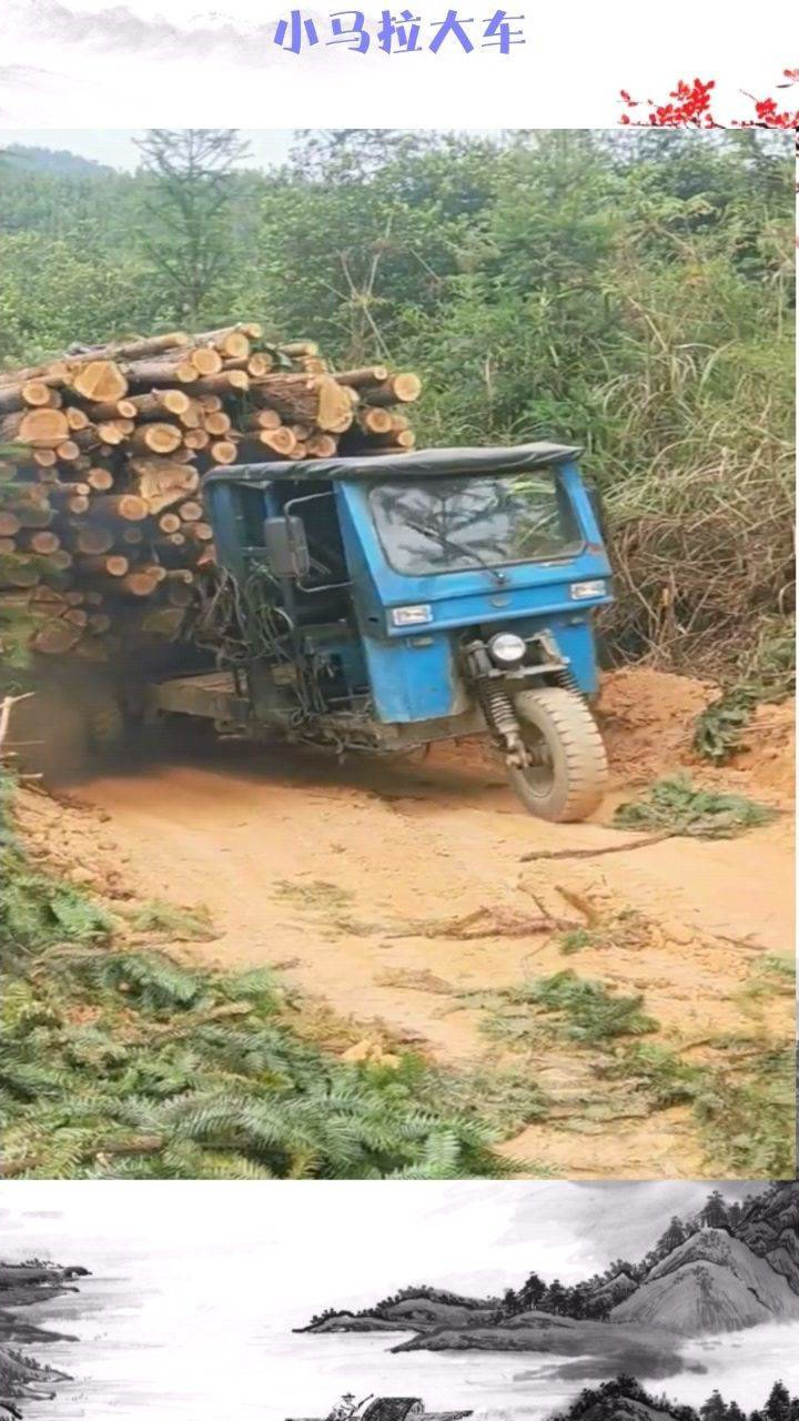 小马拉大车_高清10
