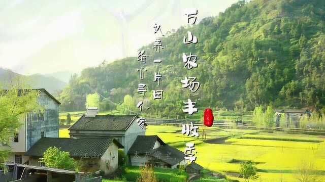 万山农场丰收季