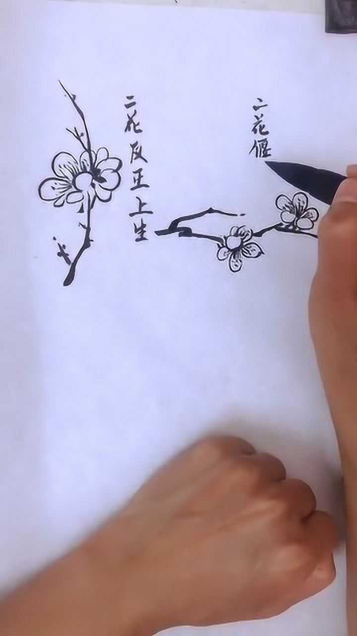 教你绘画梅花树用毛笔画出的样子简直太好看了