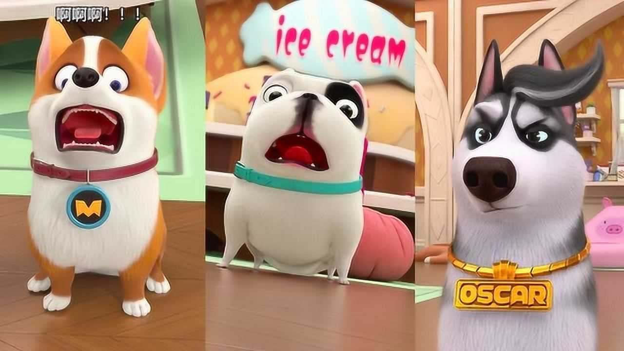 飞狗moco弄坏奥斯卡的发型你这不是在找刺激嘛