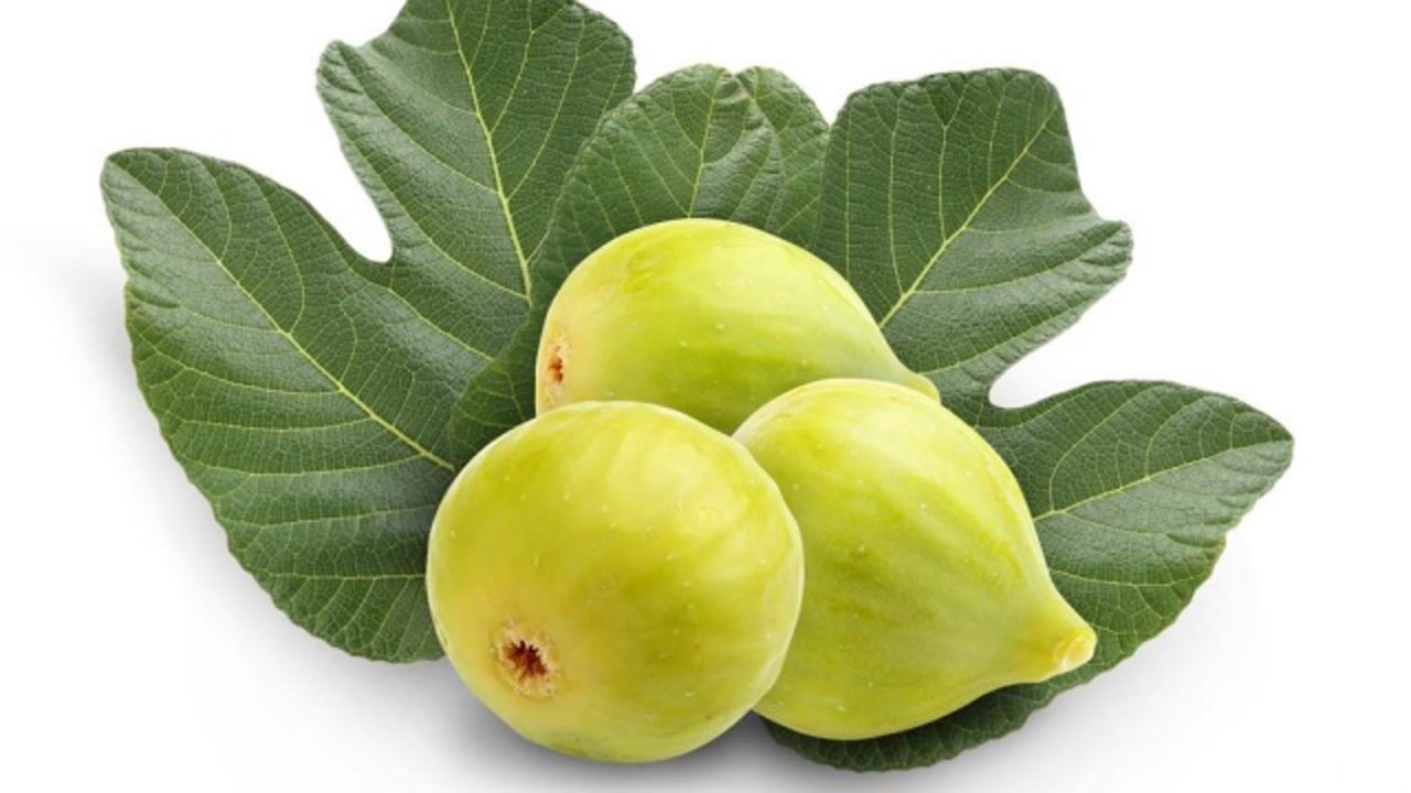 品种系列之:"青花"无花果,堪称青皮的兄弟?实力如何