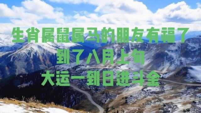 生肖属鼠属马的朋友有福了,到了八月上旬,大运一到日进斗金