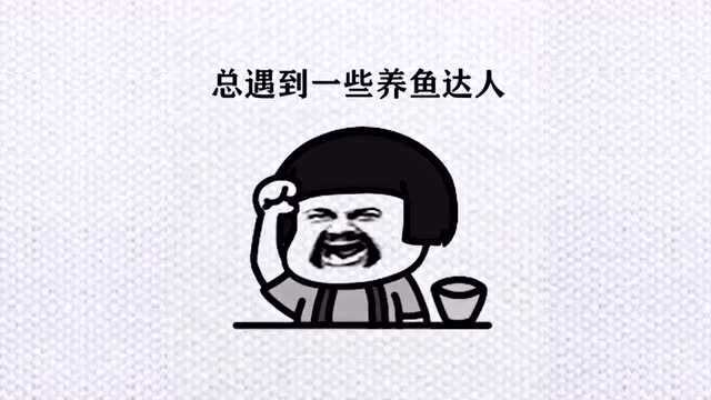 喝酒太厉害真的是找不到对手,这些年我也是注定孤独了