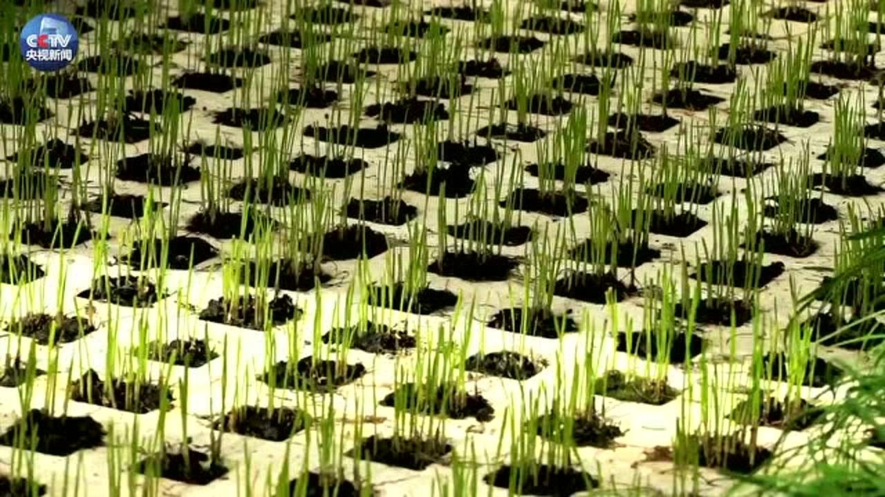 微视频｜120秒看改革开放四十年职业变迁：变化的年代，不变的拼搏_高清
