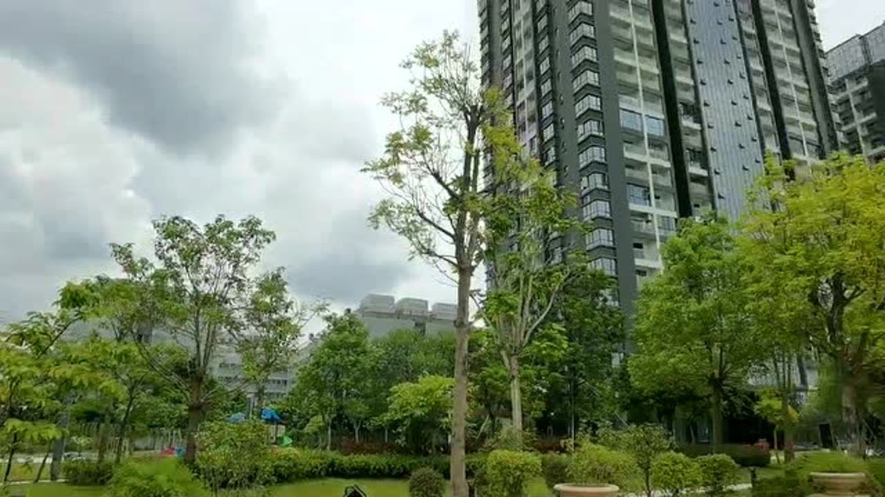 深圳小产权房石岩塘头在售村委房学位房羊台山森林公园旁村委统建楼
