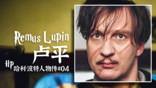 哈利波特人物传4狼人月亮脸暖男莱姆斯卢平