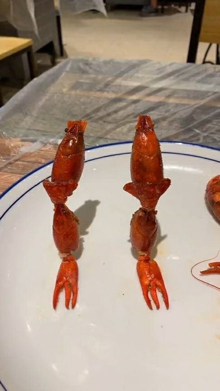 小龙虾做的变形金刚这也太帅了吧