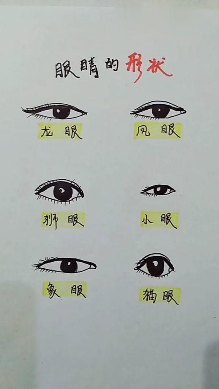 眼形分类图解图片