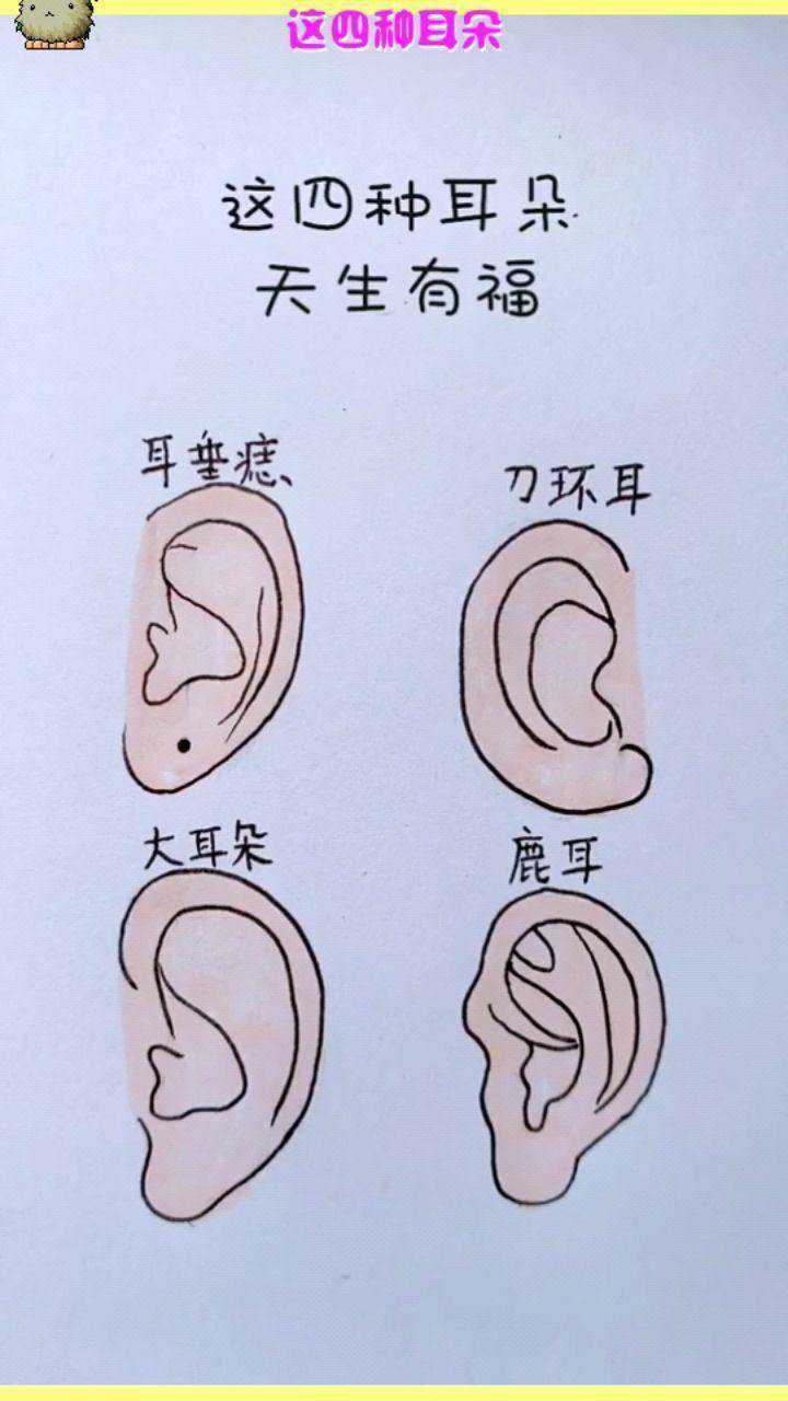 这四种耳朵天生有福你有没有