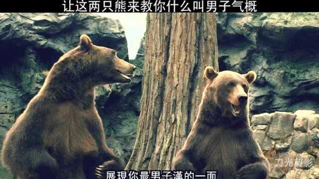 这名动物园看守为了脱单也是没谁了,两只熊在线教你拥有男子气概!