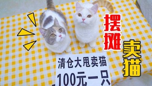 [图]摆摊卖猫100元一只，会有人买吗？结果哄抢一空！