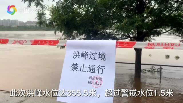 四川:上游强降雨引发沱江洪峰 资阳部分地区被淹