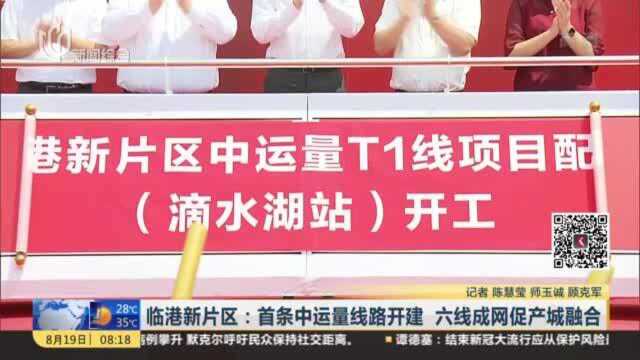 临港新片区:首条中运量线路开建 六线成网促产城融合