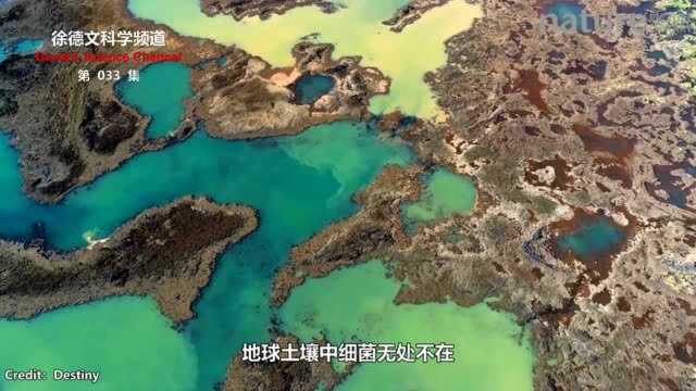 西伯利亚苔原永冻土地下发现7000多个甲烷泡!