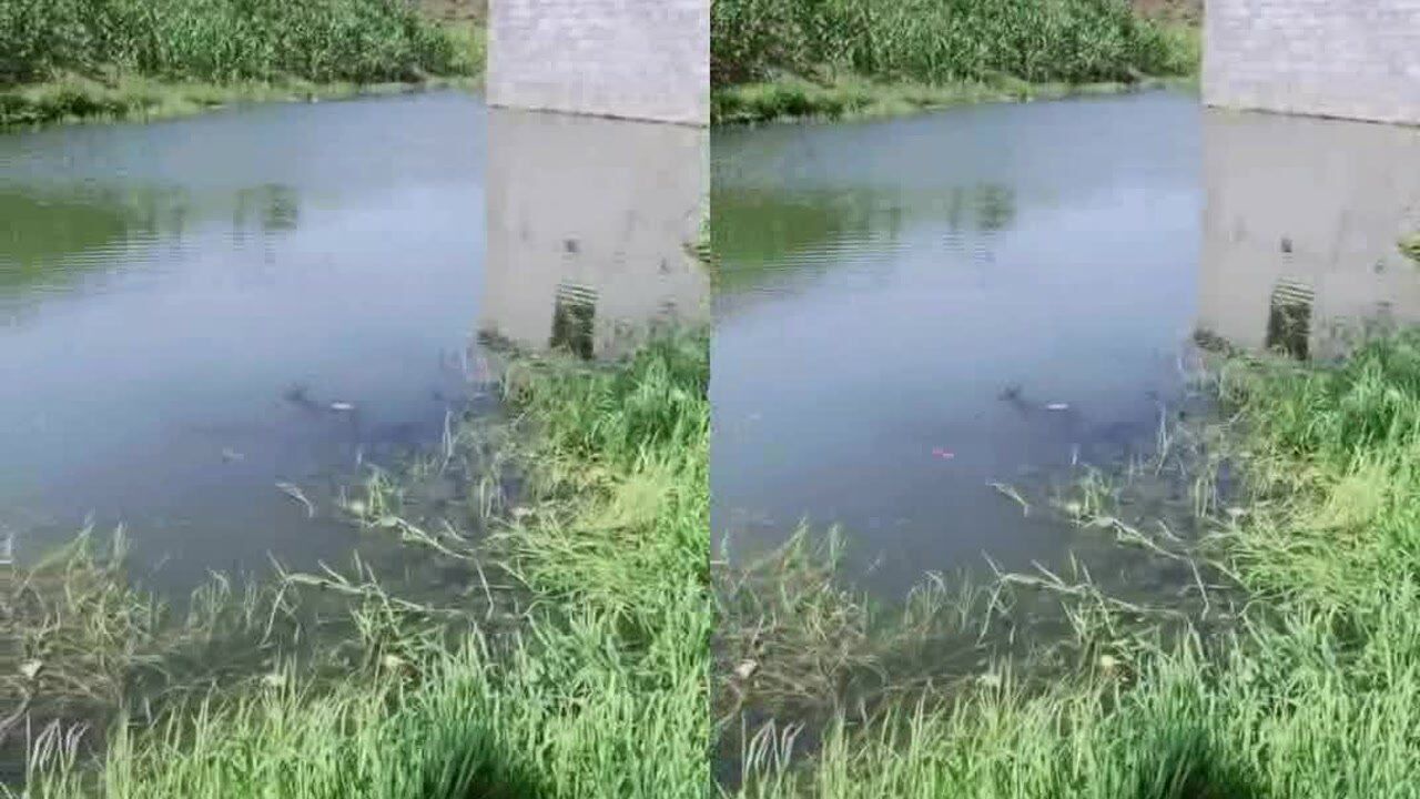 可以听到窜天猴窜水的声音