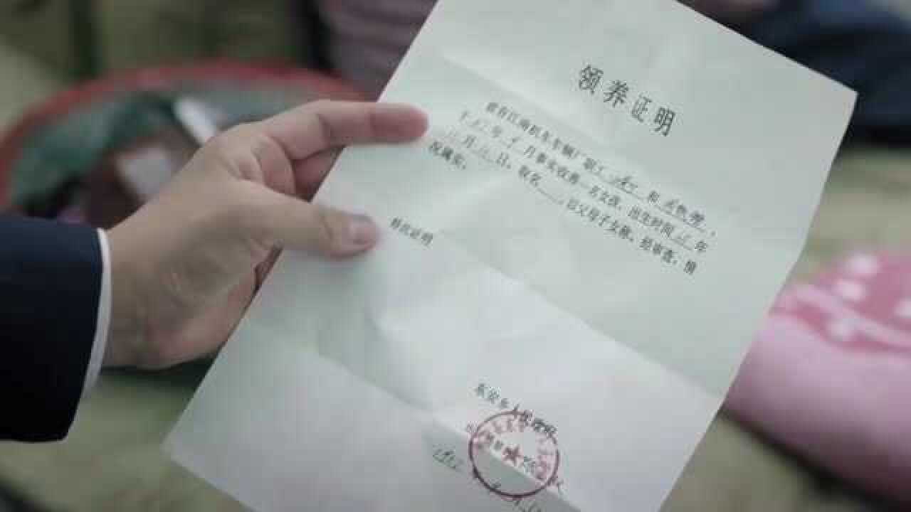 《奔腾年代》周铁锤白曼宁领养孩子,同样无法生育的冯