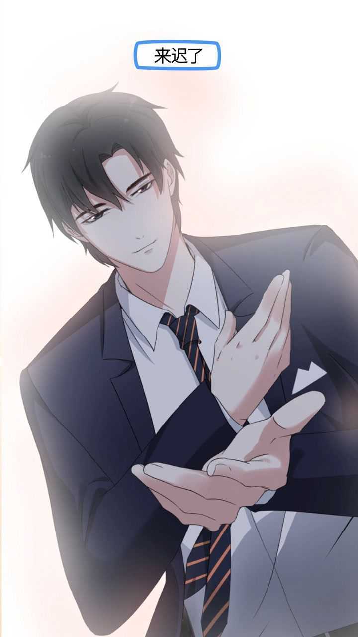 牙牙是有多恨白总呀?原创动画 猫总白一航